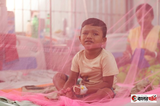 ডেঙ্গুতে মৃত্যু তিন শতাধিক ছাড়াল: মশার উপদ্রব নাকি প্রশাসনিক সুশাসনের ব্যর্থতা